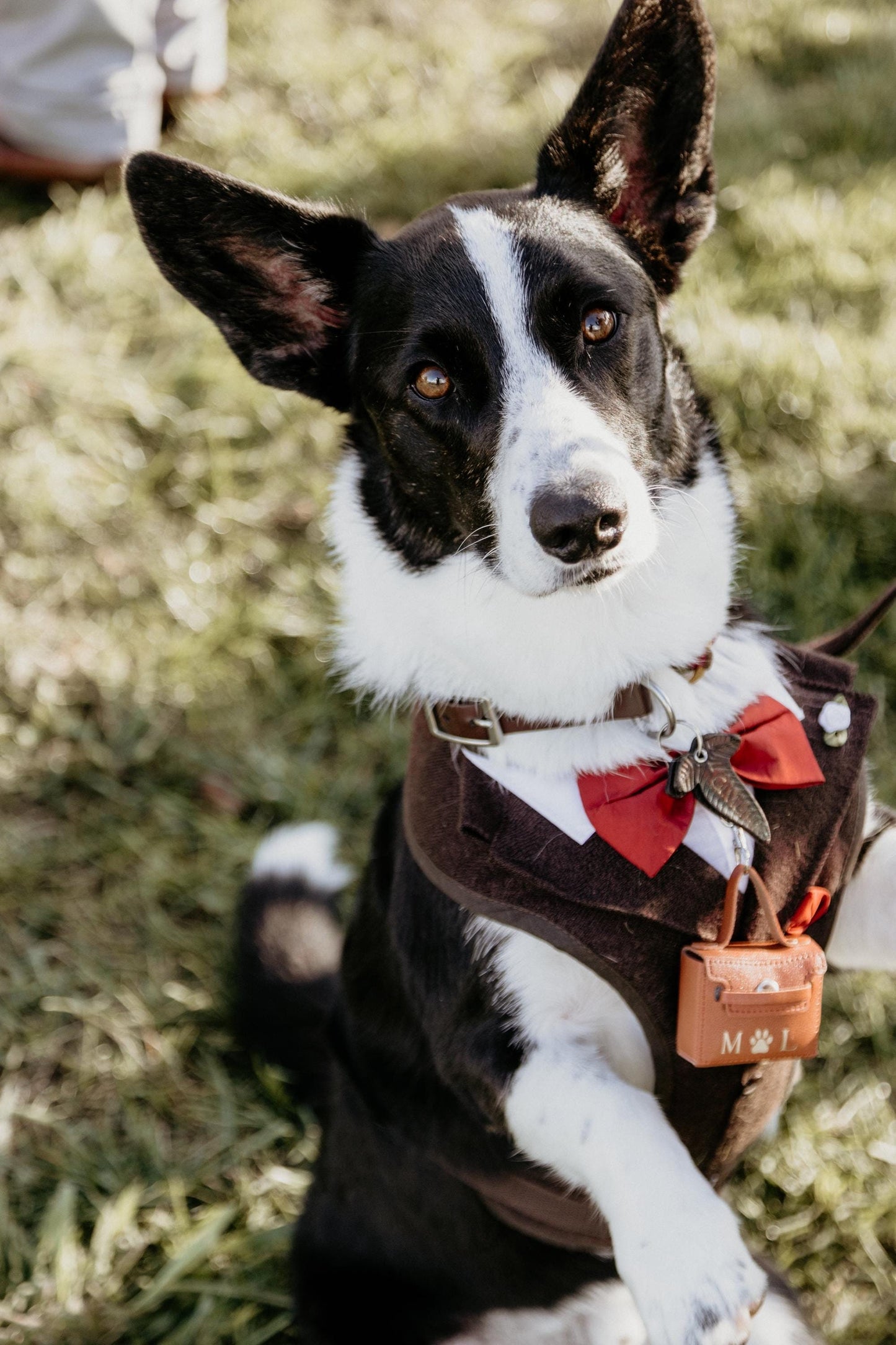 Dog Ring Bearer | Wedding Ring Bearer Pouch for Dogs | Wedding Ring Box for Dog Collars | Personalised Pet Wedding Ring Holder | Dog Wedding