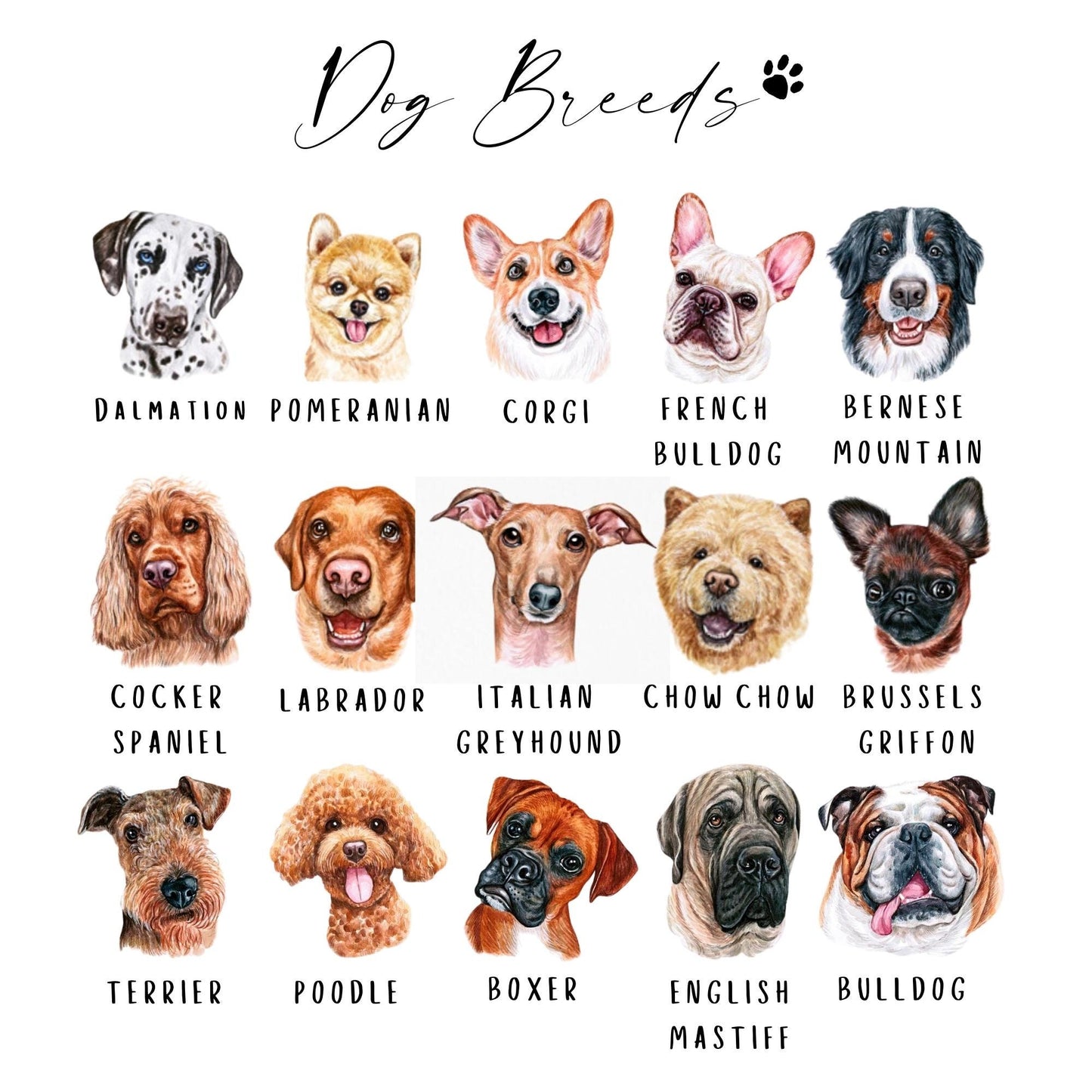 Wedding Cocktail Sign, Dog Signature Drink Sign, Bar Menu, Wedding Sign, Wedding Bar Sign, Bar Wedding Poster, Dog Cocktail Sign