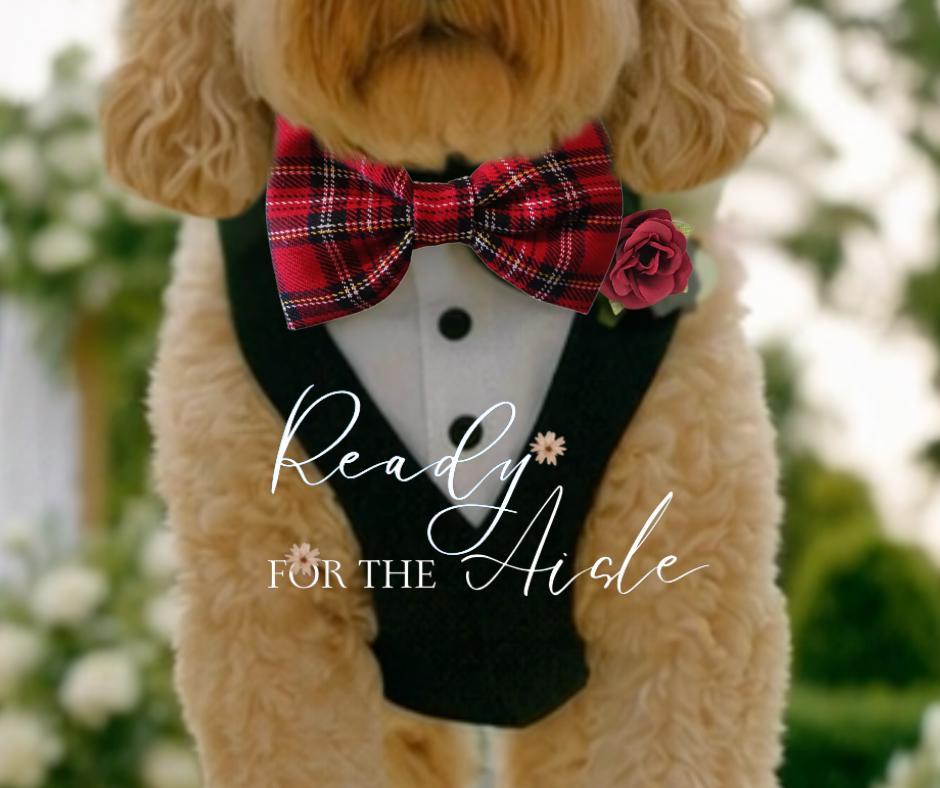 Tartan Dog Tuxedo Harness Outfit | Dog Wedding Outfit | Dog Ring Bearer | Scottish Dog Wedding Outfit | Tartan Bow Tie | Tartan Dog Outfit
