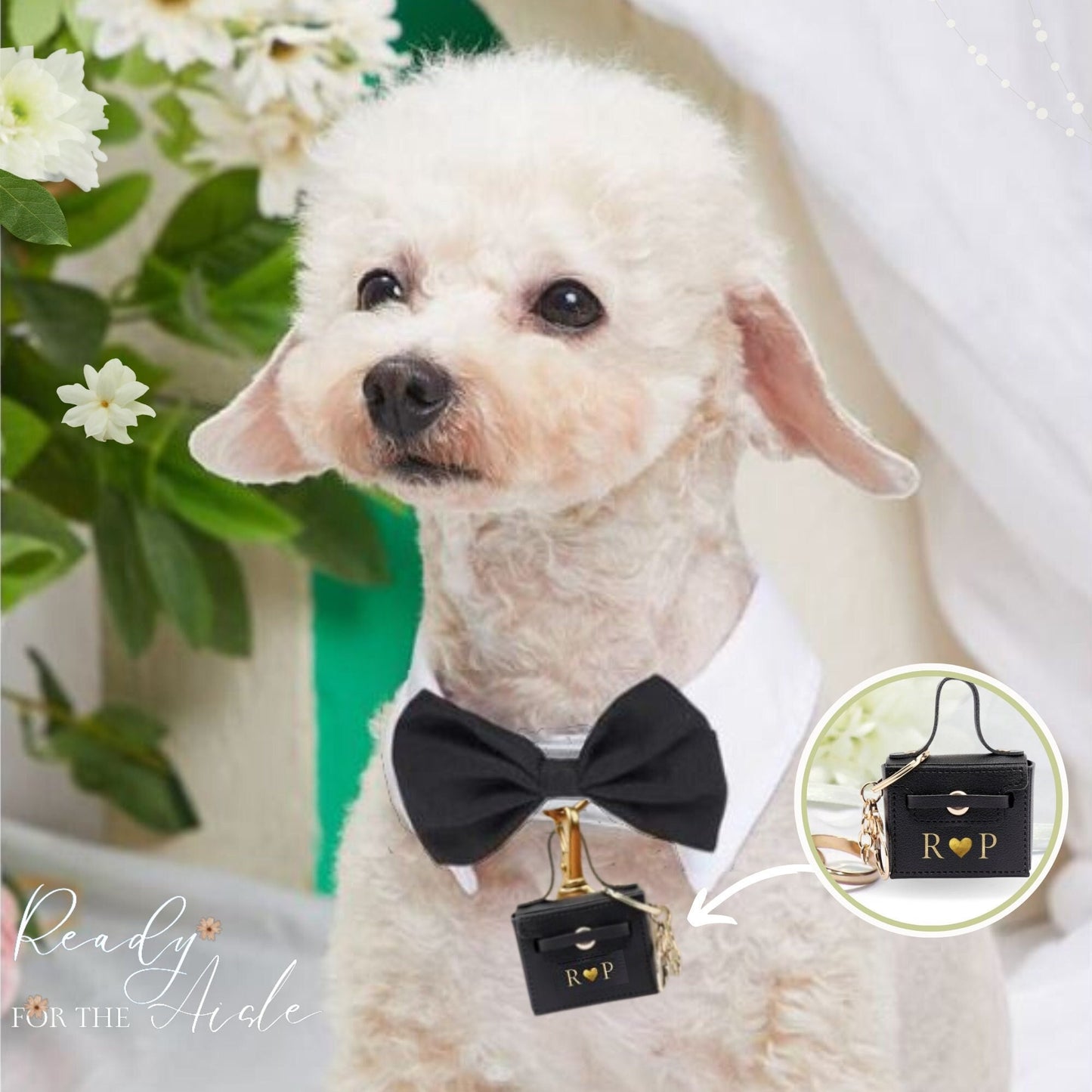 Engagement Ring Box| Will You Marry Me | Special Ring Box for Dog Collars | Pet Proposal | Cute Dog Proposal | Engagement Idea with Pet