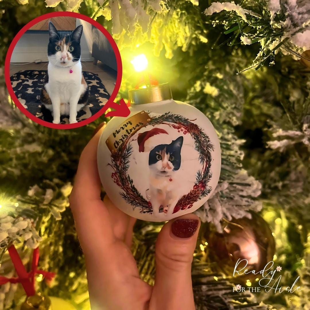 Pet Christmas Bauble | Personalised Cat Christmas Bauble Watercolour | Watercolour Pet Portrait | Cat Xmas Decoration | Cat Christmas Bauble