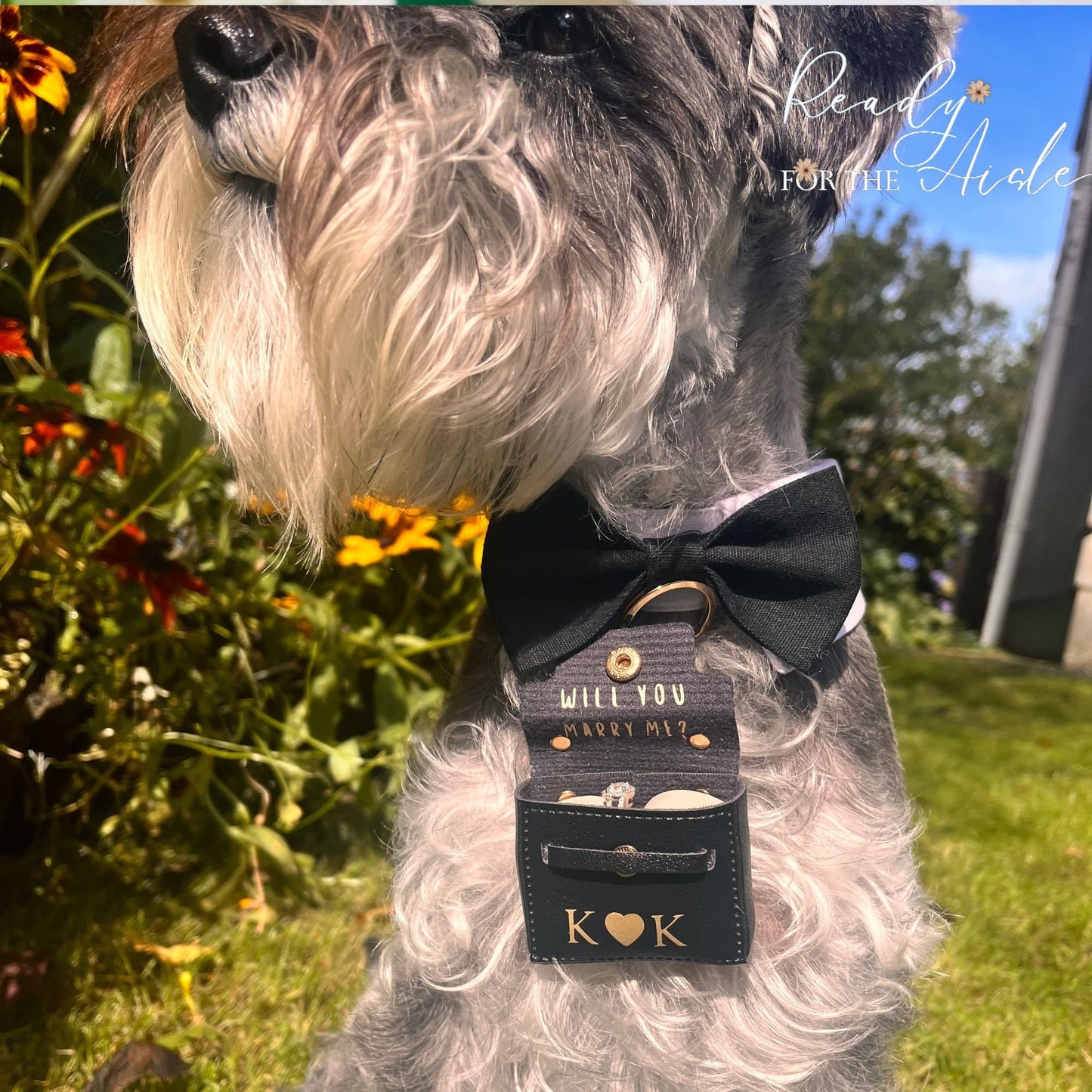 Engagement Ring Box| Will You Marry Me | Special Ring Box for Dog Collars | Pet Proposal | Cute Dog Proposal | Engagement Idea with Pet