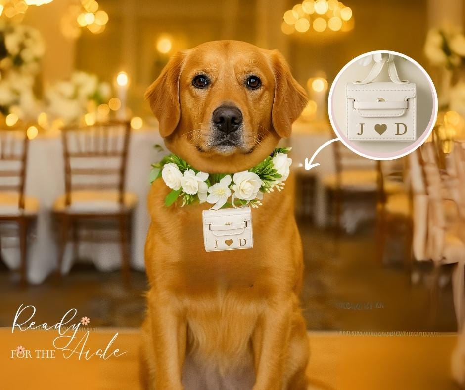 Dog Flower Collar for Wedding with Ring Bearer Box | Dog Ring Bearer | Wedding Ring Bearer Pouch for Dogs | Dog Wedding Flower Collar