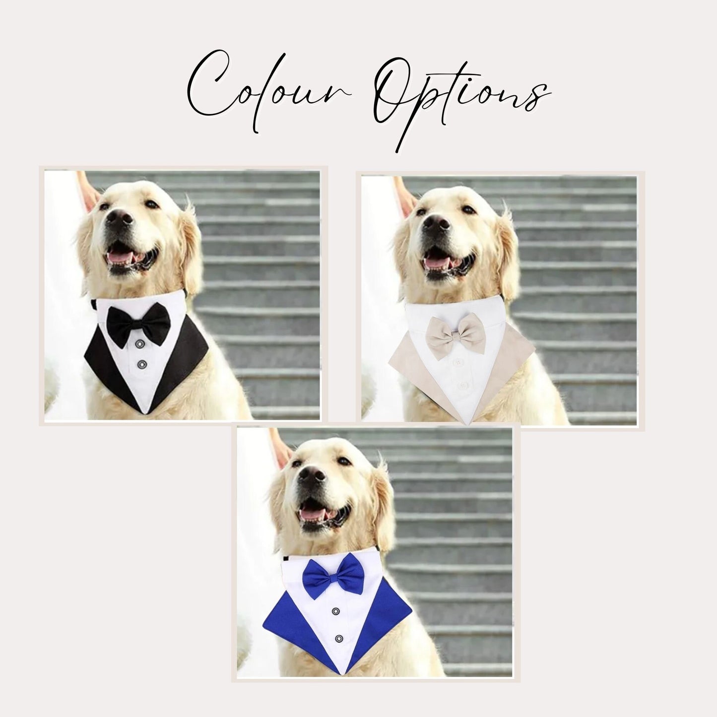 Personalised Tuxedo Collar for dogs | Dog Best Man | Dog Ring Bearer | Dog Tuxedo Collar | Slide-on-collar bandana with bow | Dog Wedding