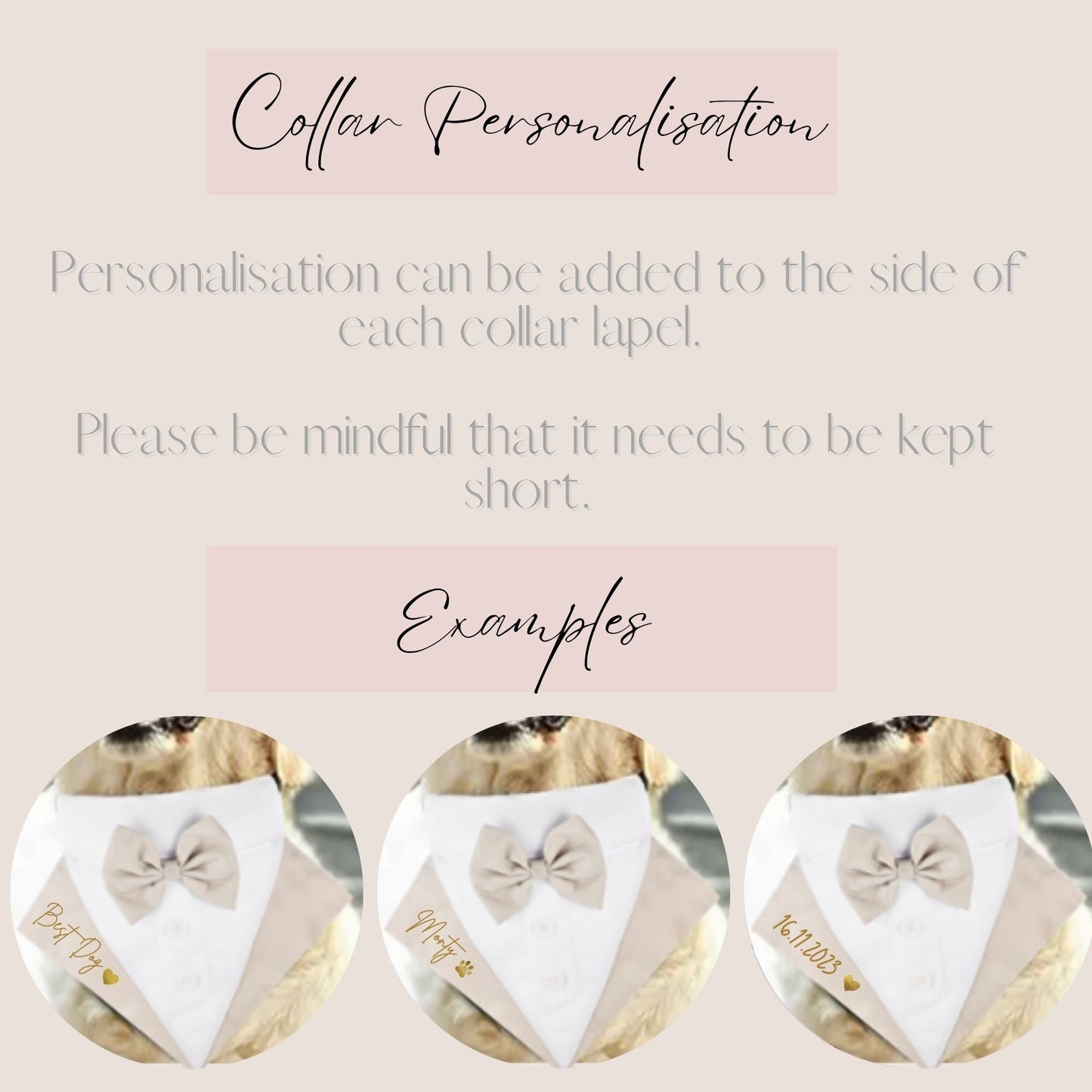 Personalised Tuxedo Collar for dogs | Dog Best Man | Dog Ring Bearer | Dog Tuxedo Collar | Slide-on-collar bandana with bow | Dog Wedding