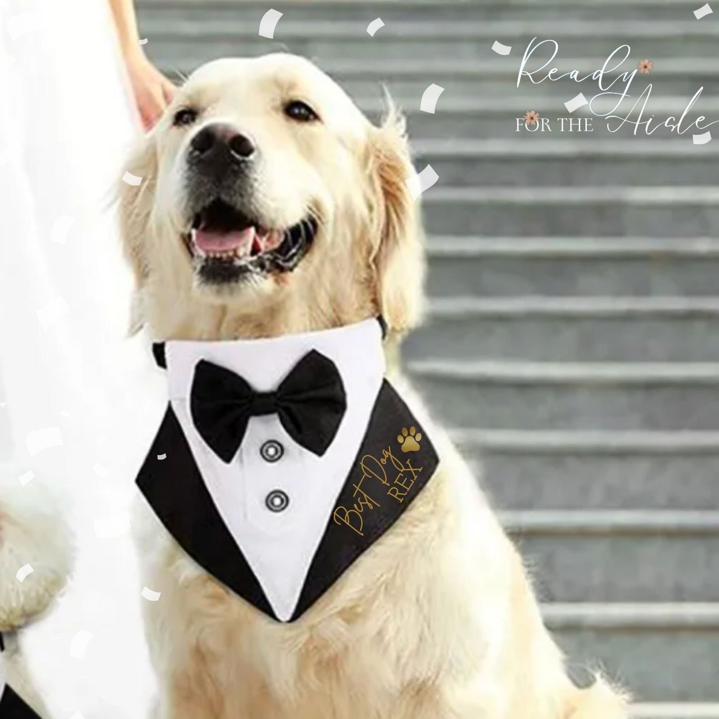 Personalised Tuxedo Collar for dogs | Dog Best Man | Dog Ring Bearer | Dog Tuxedo Collar | Slide-on-collar bandana with bow | Dog Wedding