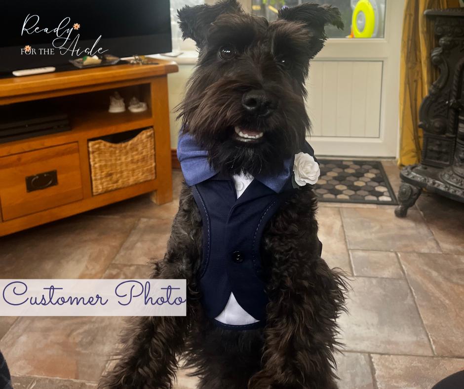 Navy Wedding Dog Tuxedo, Dog Ring Bearer Outfit, Blue Dog Tuxedo, Dog Suit Harness, Wedding Dog Harness, Wedding Suit For Dog, Ready to ship