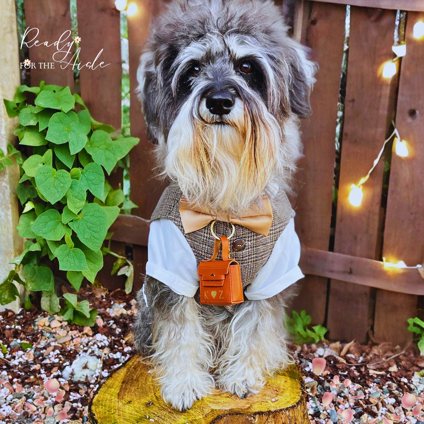 Dog Wedding Outfit | Wedding Ring Box for Dog Collars | Complete Dog Wedding Outfit with Bow | Dog Wedding | Dog Ring Bearer Outfit