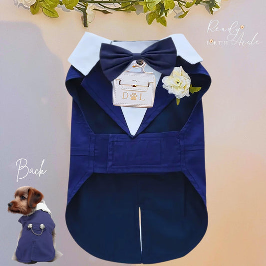 Blue Dog Tuxedo Harness Outfit | Dog Wedding Outfit | Dog Ring Bearer | Personalised dog wedding outfit with ring bearer box | Dog Wedding