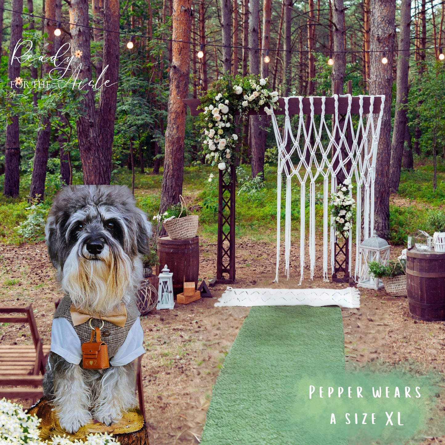 Dog Wedding Outfit | Wedding Ring Box for Dog Collars | Complete Dog Wedding Outfit with Bow | Dog Wedding | Dog Ring Bearer Outfit