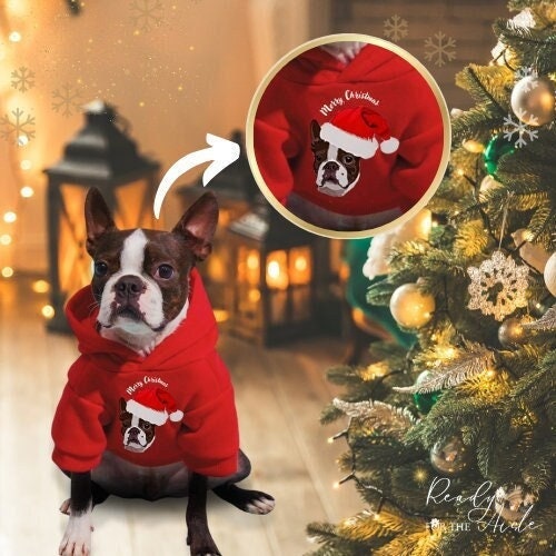 Red Dog Hoodie, Dog Jumper, Christmas Dog Hoodie, Pet Christmas Jumper Red, Custom Pet Jumper with personalised dog portrait, Red Dog Outfit