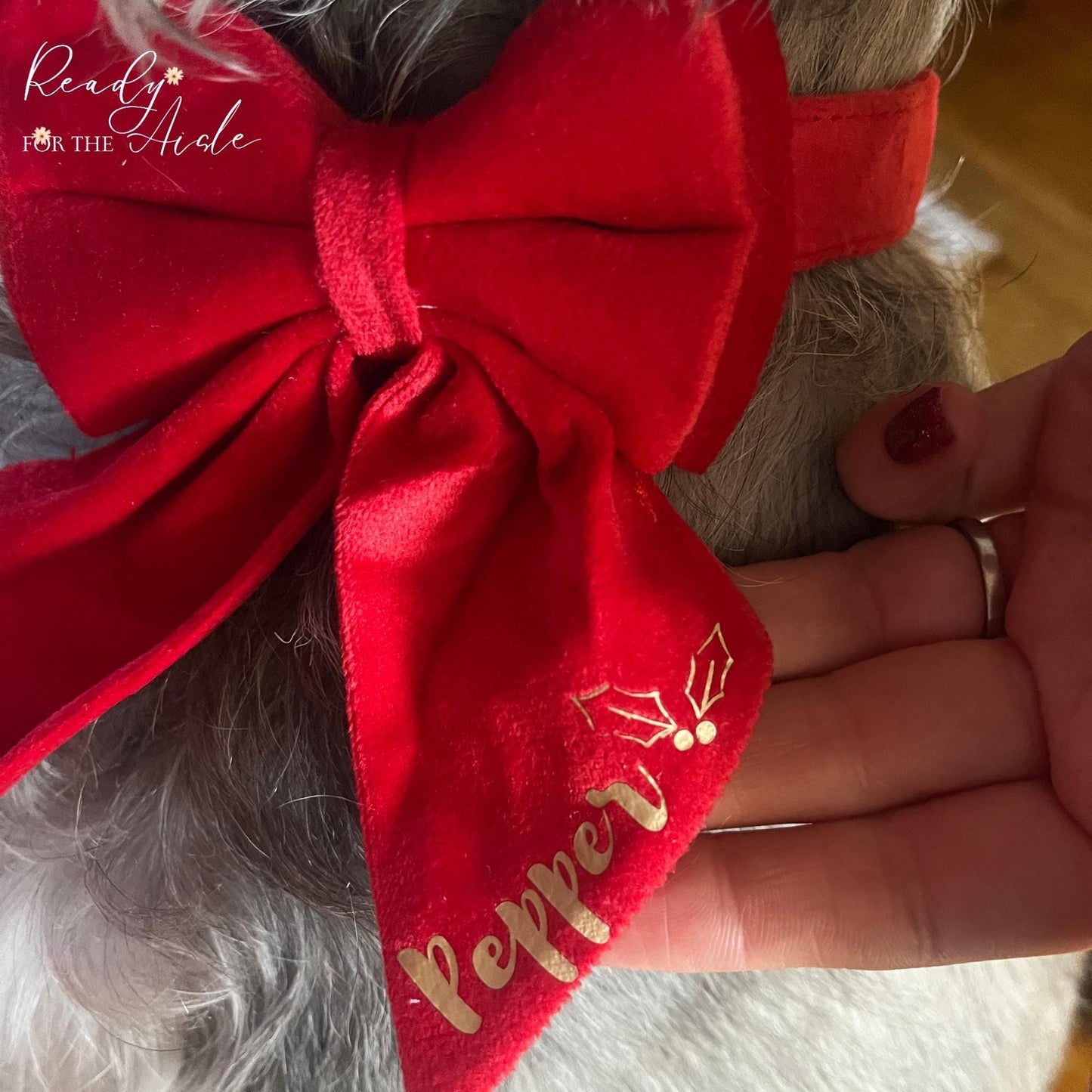 Dog Red Bow Tie Collar, Collar Bow Tie with Pets Name, Dog Name Collar, Red Dog Christmas Bow Collar, Dog Bow Tie, Red Dog Occasion Collar