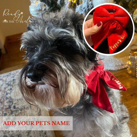 Dog Red Bow Tie Collar, Collar Bow Tie with Pets Name, Dog Name Collar, Red Dog Christmas Bow Collar, Dog Bow Tie, Red Dog Occasion Collar