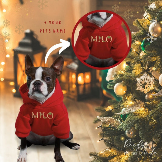 Festive Red Dog Hoodie, Dog Jumper With Name, Christmas Dog Hoodie with Pets Name, Pet Christmas Jumper Red, Custom Pet Hoodie, Red Dog Gift