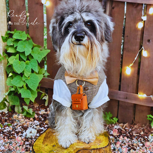 Dog Wedding Outfit | Wedding Ring Box for Dog Collars | Complete  Dog Wedding Outfit with Bow | Dog Wedding | Dog Ring Bearer Outfit