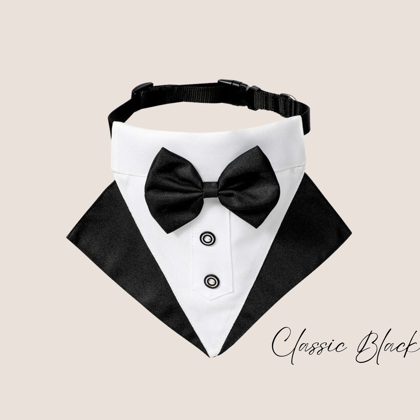 Personalised Tuxedo Collar for dogs | Dog Best Man | Dog Ring Bearer | Dog Tuxedo Collar | Slide-on-collar bandana with bow | Dog Wedding