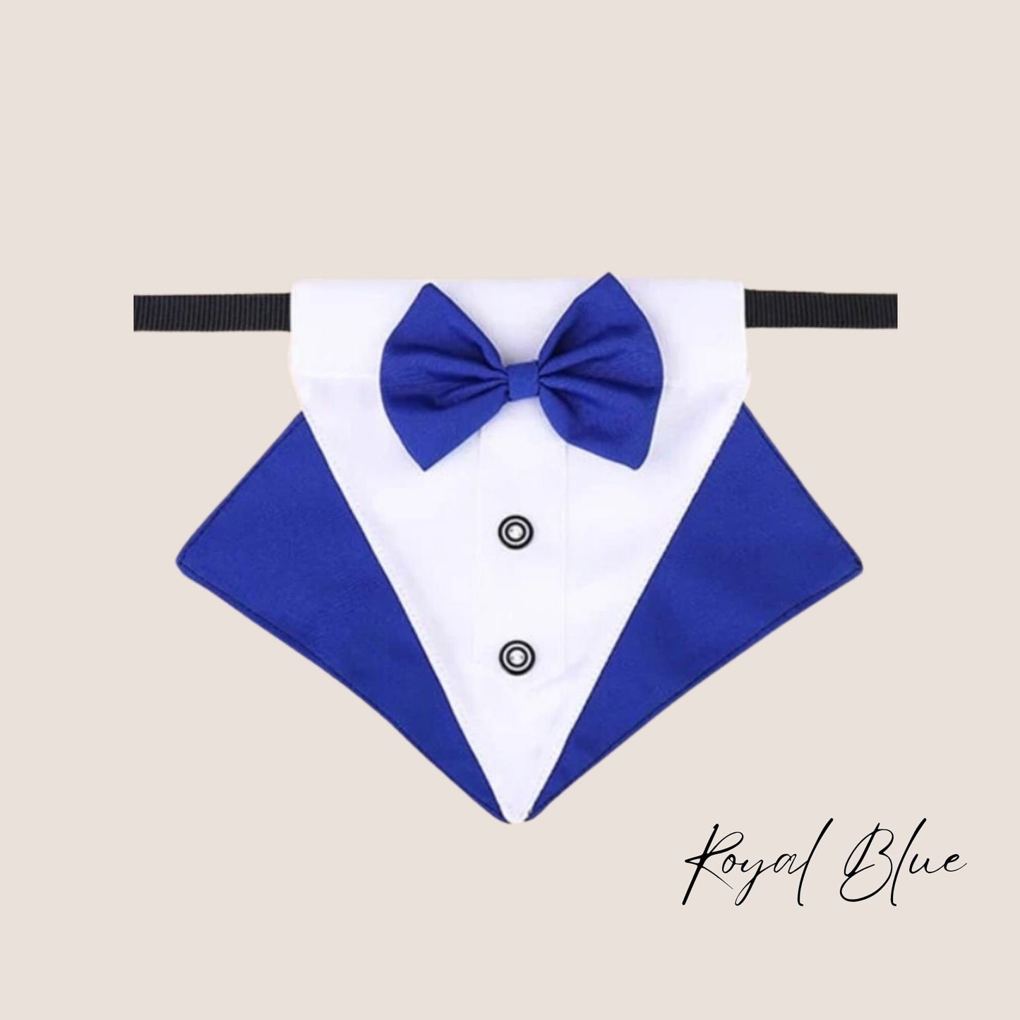 Personalised Tuxedo Collar for dogs | Dog Best Man | Dog Ring Bearer | Dog Tuxedo Collar | Slide-on-collar bandana with bow | Dog Wedding