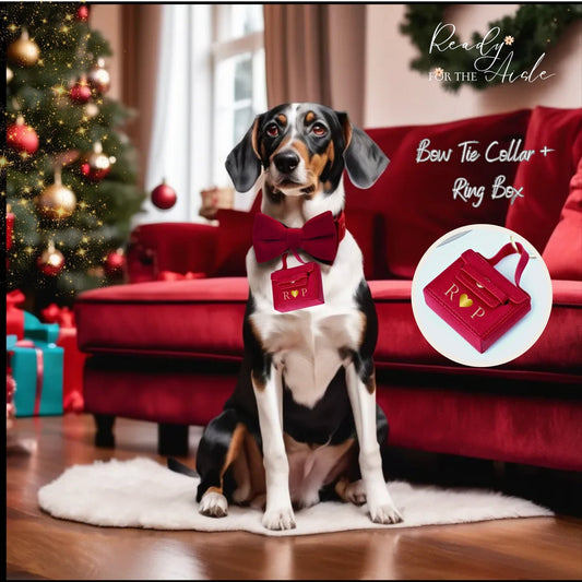 Christmas Dog Proposal | Dog Ring Bearer | Wedding Ring Bearer Pouch for Dogs | Red Velvet Christmas Dog Collar with Engagement Ring Pouch